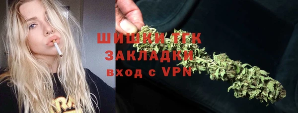 крисы Богородицк
