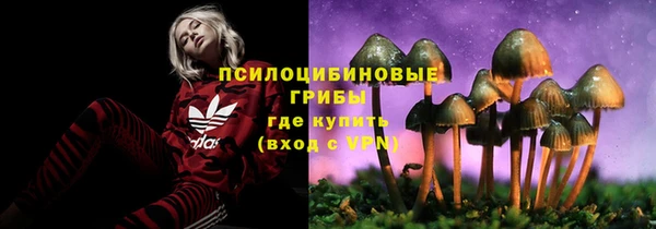 стаф Богородск