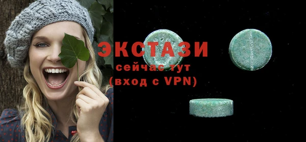 крисы Богородицк