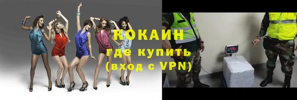 стаф Богородск