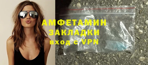 крисы Богородицк