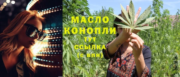 крисы Богородицк