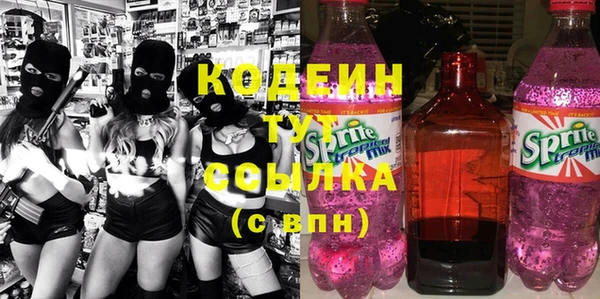 крисы Богородицк